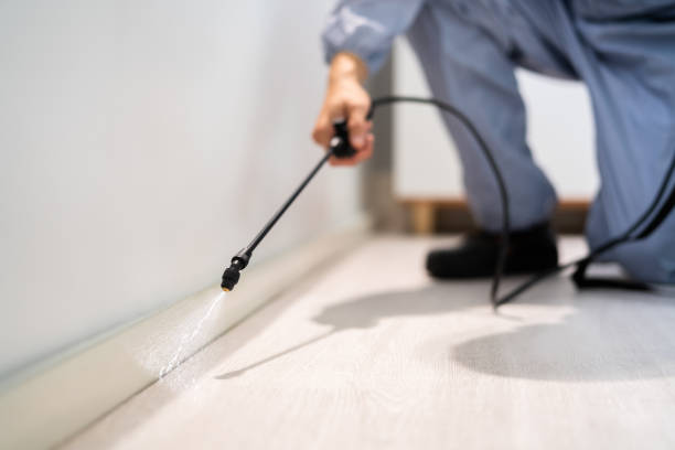 Licensed Fumigation Services service in South Kensington, MD - Nex Pest Control