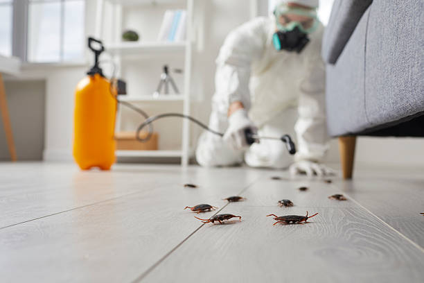 Trusted Fumigation Services service in South Kensington, MD - Nex Pest Control